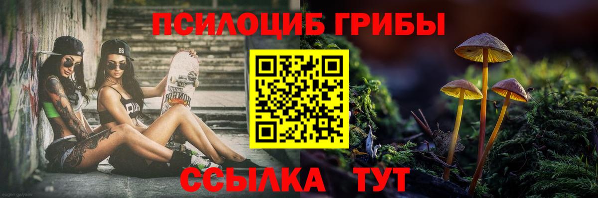 цена наркотик  Вход с VPN  Псилоцибиновые грибы прущие грибы  Всеволожск  Псилоцибиновые грибы GOLDEN TEACHER 